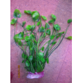 Cây nhựa cao số 11 Cây nhựa cao số 11